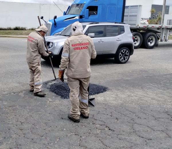 Programa de bacheo